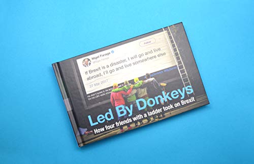 Oliver Knowles - Led by Donkeys : How four friends with a ladder took image 2