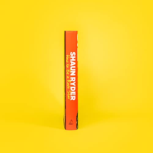 Shaun Ryder - How to Be a Rock Star - Hardback image 3