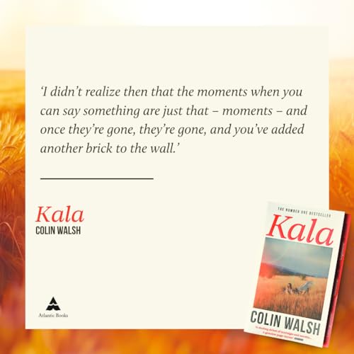 Colin Walsh - Kala : 'A spectacular read for Donna Tartt and Tana image 4