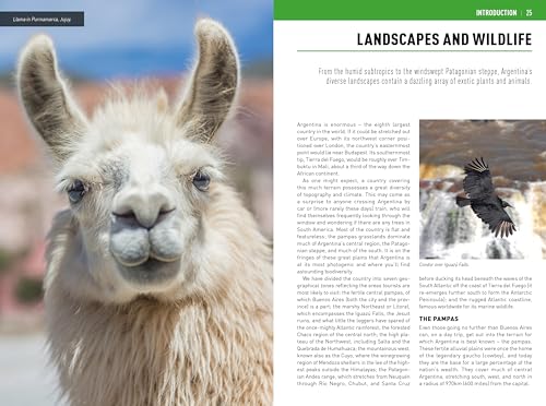 Insight Guides - Argentina: - Paperback image 5