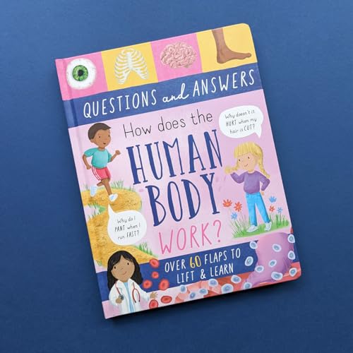 Rachel Moss - How Does the Human Body Work? - Hardback image 2