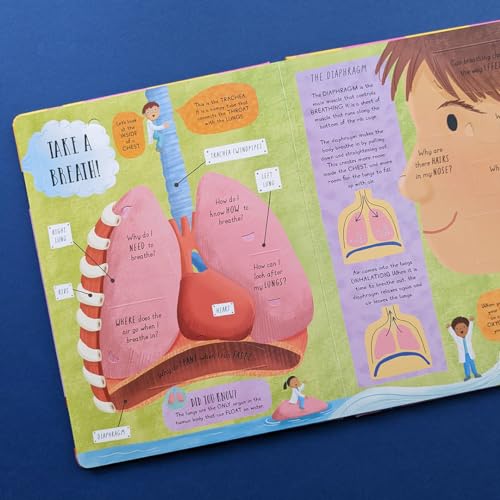 Rachel Moss - How Does the Human Body Work? - Hardback image 4