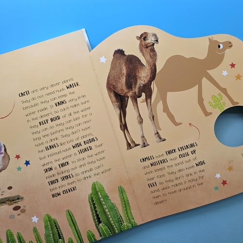 Habitats : From All Around the World - Hardback image 4