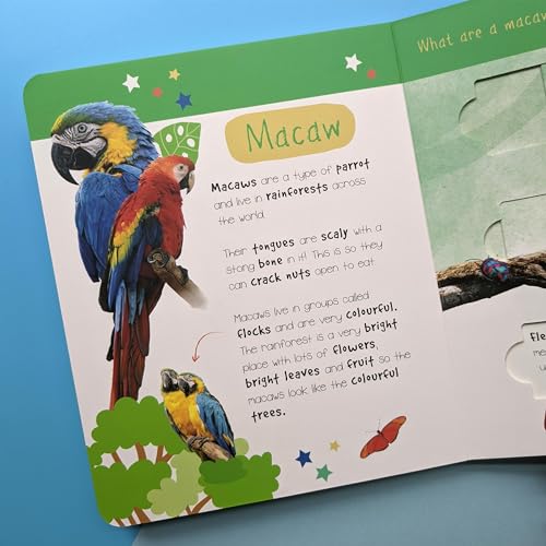 Jungle Animals : Who is Hiding in the Puzzle? - Hardback image 3
