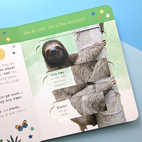 Jungle Animals : Who is Hiding in the Puzzle? - Hardback image 5