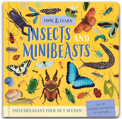 Laura Chamberlain - Look & Find : Insects and Minibeasts - Hardback image 1