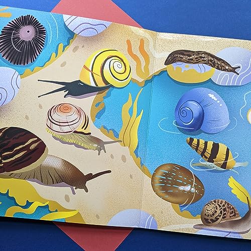Laura Chamberlain - Look & Find : Insects and Minibeasts - Hardback image 3