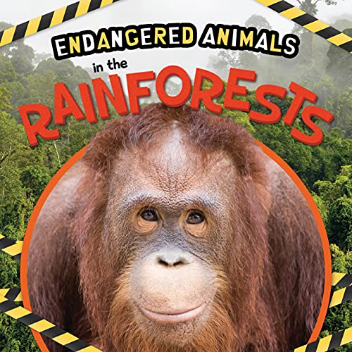 Emilie Dufresne - In the Rainforests - Hardback image 1