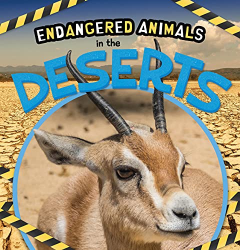 Emilie Dufresne - In the Deserts - Hardback image 1