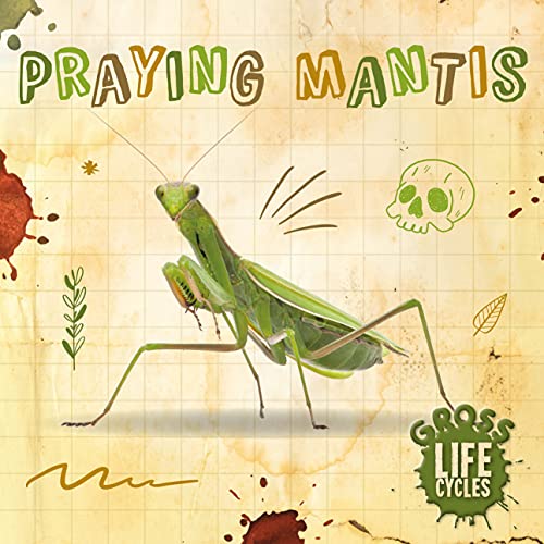 William Anthony - Praying Mantis - Hardback image 1