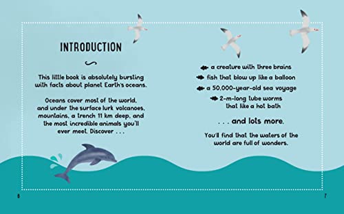 Tracey Turner - Small and Mighty Book of Oceans - Hardback image 3