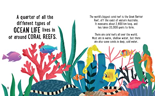 Tracey Turner - Small and Mighty Book of Oceans - Hardback image 4