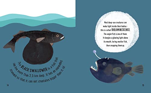 Tracey Turner - Small and Mighty Book of Oceans - Hardback image 5