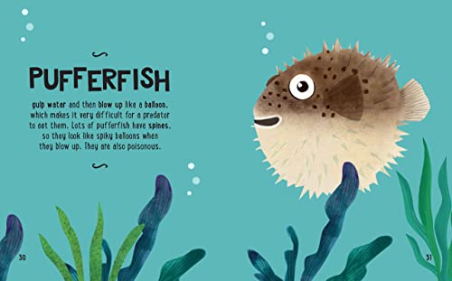 Tracey Turner - Small and Mighty Book of Oceans - Hardback image 6