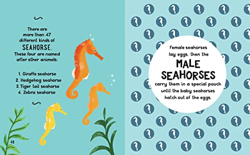 Tracey Turner - Small and Mighty Book of Oceans - Hardback image 7