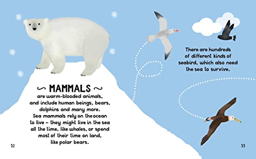 Tracey Turner - Small and Mighty Book of Oceans - Hardback image 8