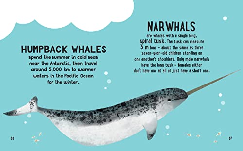 Tracey Turner - Small and Mighty Book of Oceans - Hardback image 9