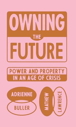 Mathew Lawrence - Owning the Future : Power and Property in an Age of image 1