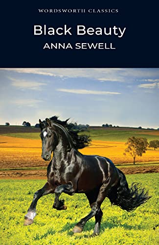 Anna Sewell - Black Beauty - Paperback image 1