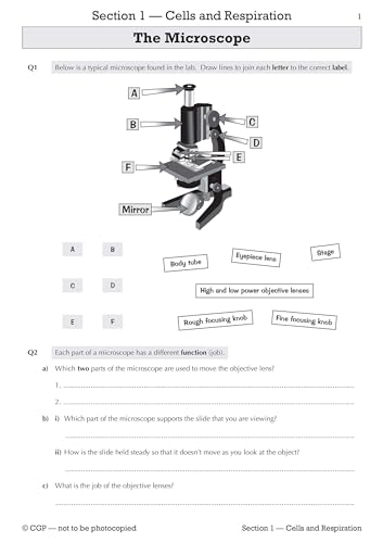 Paddy Gannon - KS3 Biology Workbook - Higher - Paperback image 2