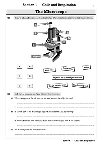 Paddy Gannon - KS3 Biology Workbook - Higher - Paperback image 6