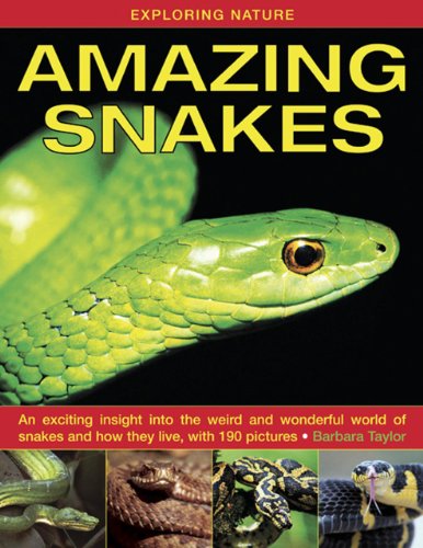 Barbara Taylor - Exploring Nature: Amazing Snakes : an Exciting Insigh image 1