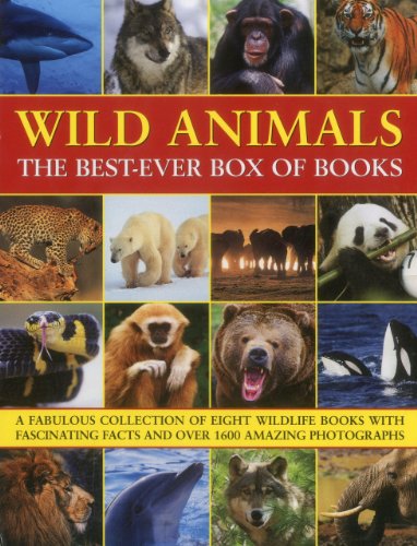 Barbara Taylor - Wild Animals Best Ever Box of Books - Paperback image 1