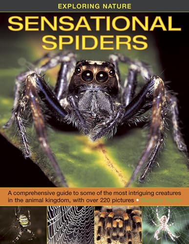 Barbara Taylor - Exploring Nature : Sensational Spiders: A Comprehensi image 1