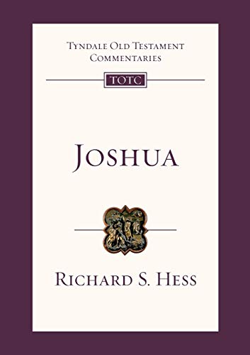 Richard S. Hess - Joshua : An Introduction and Survey - Paperback image 1