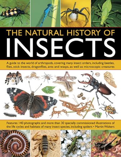 Martin Walters - Natural History Of Insects - Paperback image 1