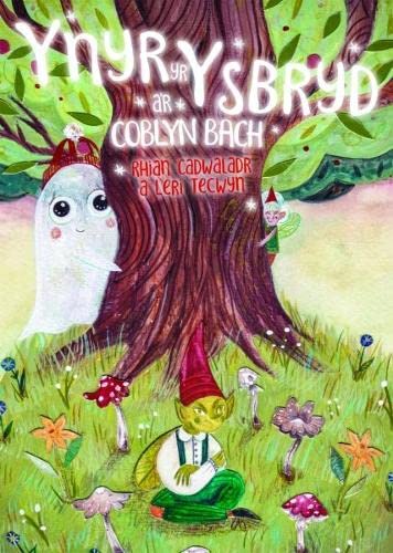 Rhian Cadwaladr - Ynyr yr Ysbryd a'r Coblyn Bach - Paperback image 1