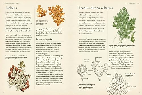 Geoff Hodge - RHS Botany for Gardeners : The Art and Science of Garden image 3