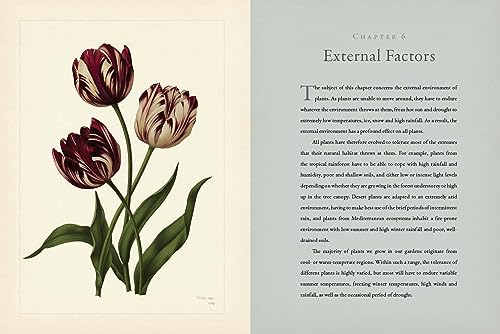 Geoff Hodge - RHS Botany for Gardeners : The Art and Science of Garden image 5