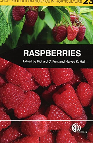 Harvey Hall - Raspberries - Paperback image 1