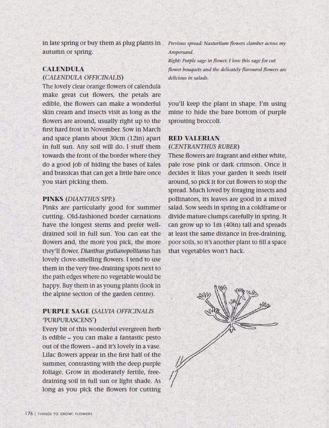 Alys Fowler - Edible Garden : How to Have Your Garden and Eat It - Har image 6