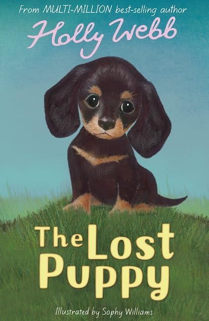 Holly Webb - Lost Puppy : 20 - Paperback image 1