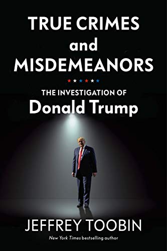 Jeffrey Toobin - True Crimes and Misdemeanors : The Investigation of D image 1