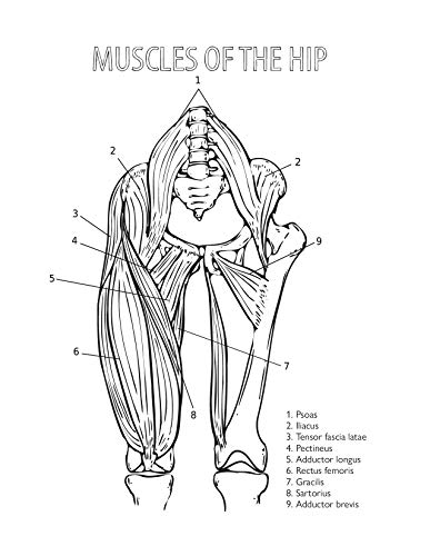 Katie Lynch - Complete Yoga Anatomy Coloring Book - Paperback image 3