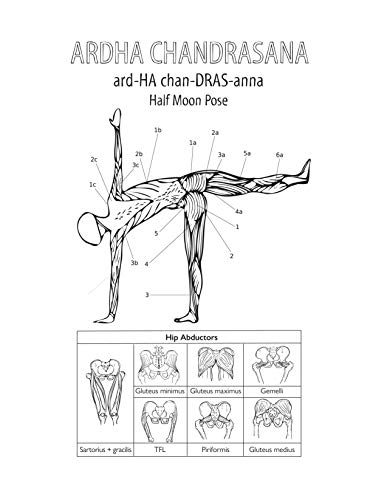 Katie Lynch - Complete Yoga Anatomy Coloring Book - Paperback image 5