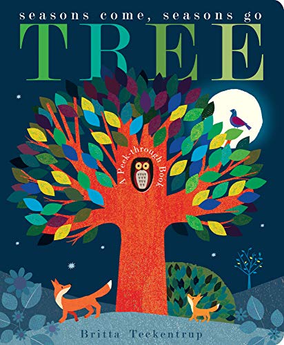 Patricia Hegarty - Tree : Seasons Come, Seasons Go - Hardback image 1