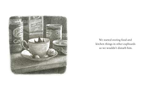 Shaun Tan - Eric - Hardback image 3