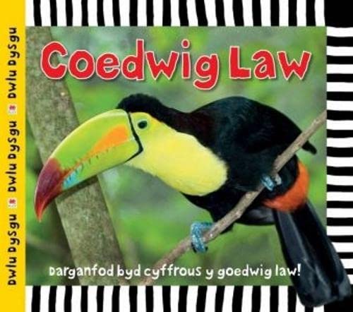 Sarah Powell - Cyfres Dwlu Dysgu: Coedwig Law - Hardback image 1
