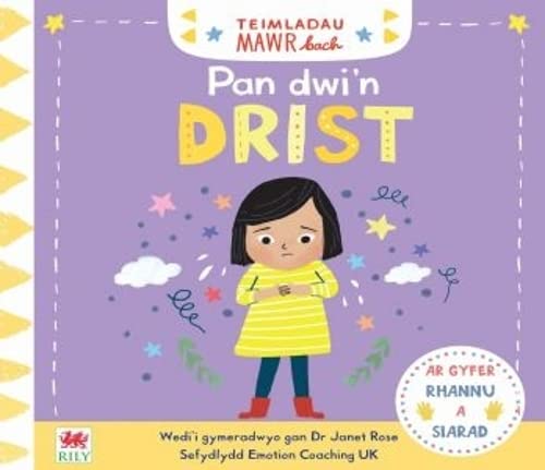 Campbell Books - Teimladau Mawr Bach: Pan Dwi'n Drist - Hardback image 1