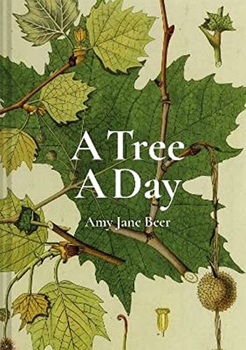 Amy-Jane Beer - A Tree A Day - Hardback