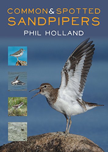 Phil Holland - Common and Spotted Sandpipers - Paperback image 1