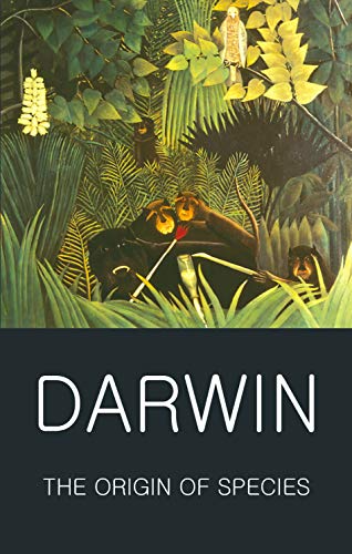 Charles Darwin - Origin of Species - Paperback image 1