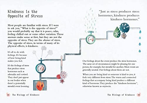 Dr David Hamilton - Little Book of Kindness : Connect with others, be image 2