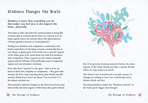 Dr David Hamilton - Little Book of Kindness : Connect with others, be image 3