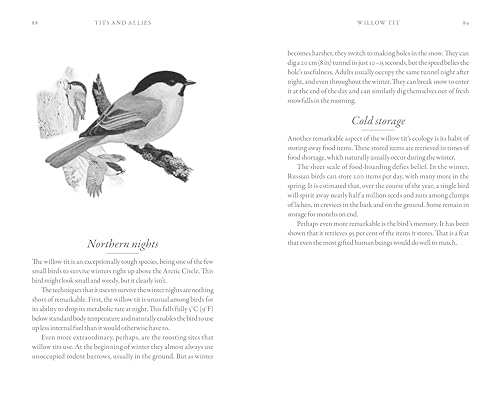 Dominic Couzens - Hidden Life of Garden Birds : The unseen drama behin image 3