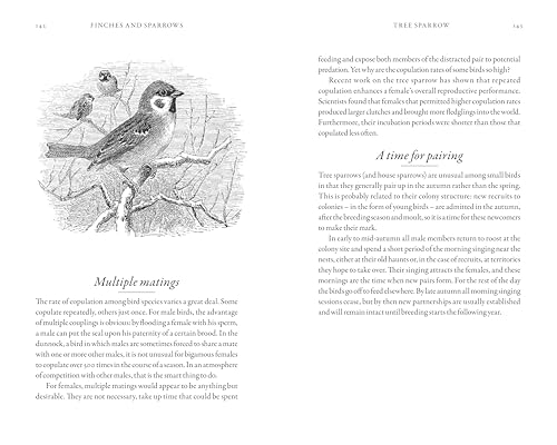 Dominic Couzens - Hidden Life of Garden Birds : The unseen drama behin image 4